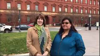 What is a Tribal Historic Preservation Officer?