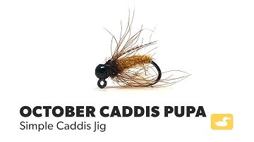 Fly Tying Tutorial: October Caddis Pupa