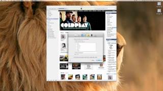 iTunes Basic Tutorial- Navigating iTunes