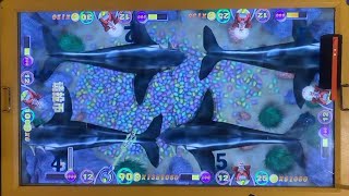 Live Island Fishing Game x100 screenshot 2