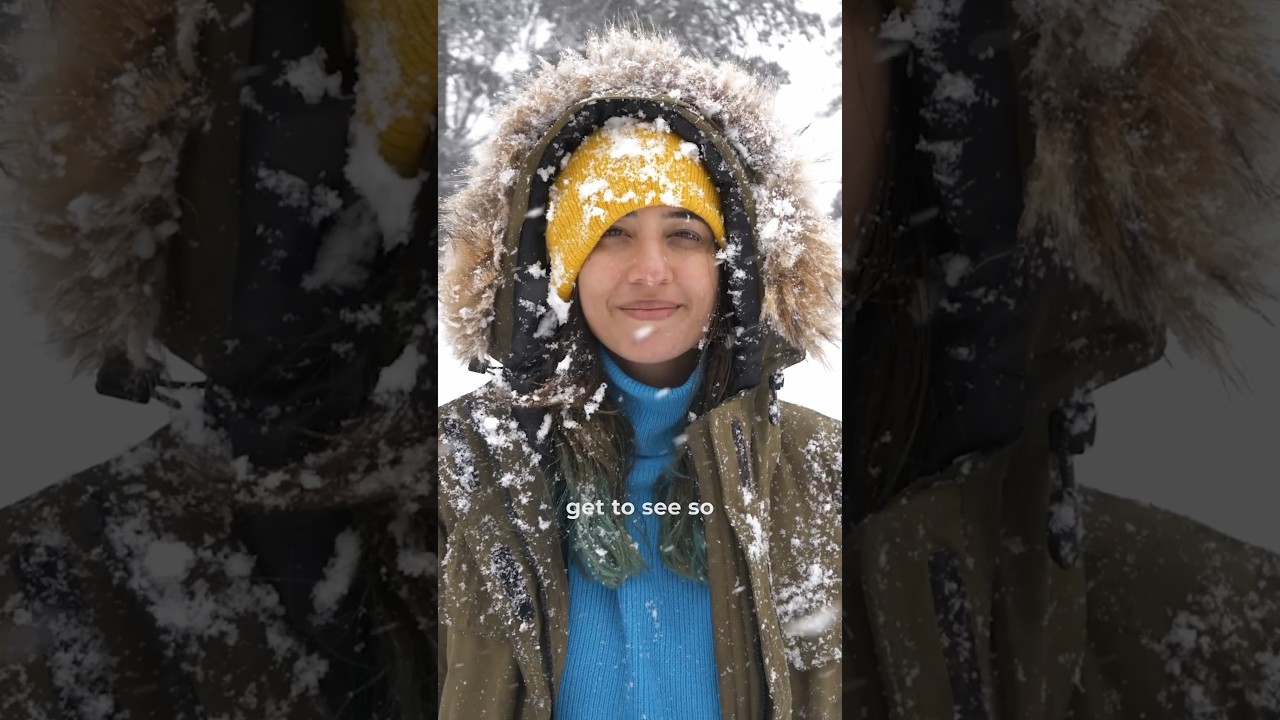 Snowfall in India Sethan Himachal Pradesh it snowed on 31st Jan 2024