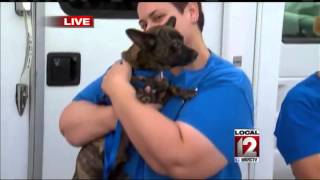 Adopt-A-Pet: Saturday, August 9, 2014 (7%3