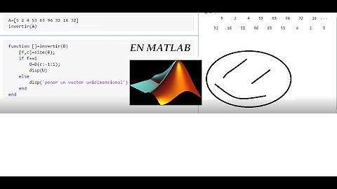 VECTOR INVERTIDO EN MATLAB