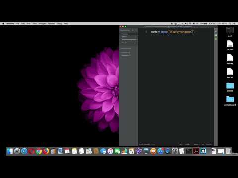 Using input Function