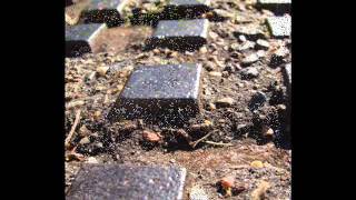 Macro slide scapes