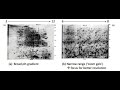 Protein separation techniques  isoelectric focusing  dige  2d page  sds page