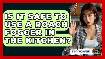 Is It Safe To Use A Roach Fogger In The Kitchen? - Insects and Invaders