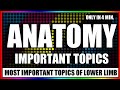 Important topics of anatomy  lower limb