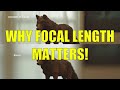 Do Focal Lengths "Compress" the Image? NO! ...and yes.