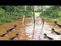 Awesome Quick Bird Trap Using Some Fishes - Amazing Boy Catching Wild duck ( Works 100% )