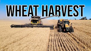 Wet Wheat Won't Stop Us  Harvest 2022