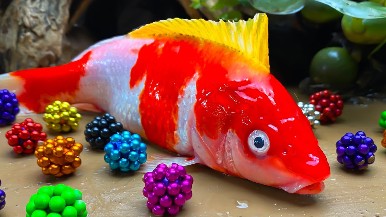 Magnetic Rainbow Fish : Sea Fishing in Mukbang | Magnet Stop Motion & Satisfying video Eel Cooking!