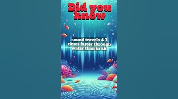 Did You Know? - Distance #2 | MBKN | #short #shortsvideo  #funny #youtubeshorts #viralvideo