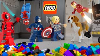 Dogs vs LEGO Superheroes Real Life Animation Prank! Marvel Edition