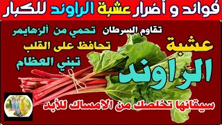 فوائد و أضرار عشبة الراوند للكبار 2  The benefits and harms of rhubarb فوائد_وأضرار_عشبة_الراوند