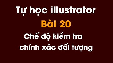 Tự học illustrator cho người mới bắt đầu | Bài 20: Chế độ kiểm tra chính xác đối tượng trong Ai