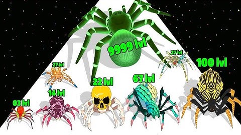 Spider Evolution Runner - Level Up Last Spider Max Level Gameplay (Insect Evolution Run) New Update