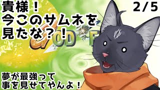 【ゴッドフィールド】大悪魔が一番強いってそれ一番言われてるから👉【 VTuber　黒猫龍星 】　＃ケモノVTuber