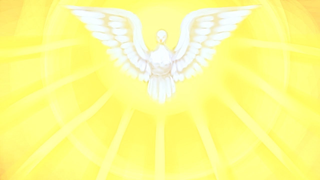 𝑵𝒆𝒄𝒆𝒔𝒊𝒕𝒂𝒕𝒆𝒂 𝒉𝒂𝒓𝒖𝒍𝒖𝒊 𝒊𝒏 𝒗𝒊𝒂ț𝒂 𝒅𝒆 𝒛𝒊 𝒄𝒖 𝒛𝒊✝️𝑵𝒆𝒄𝒉𝒊𝒕⏐𝟒𝒌