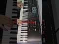 Orga live acordeon #music