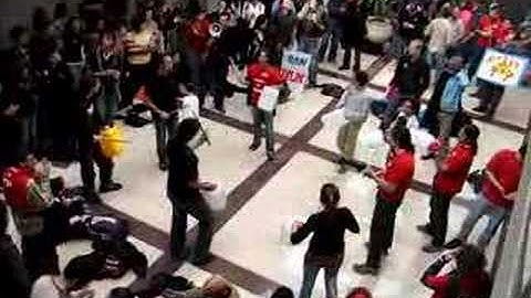 Technion Demonstration 17.01.08 05