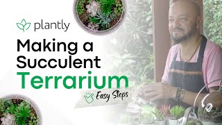 How to Make Terrarium Succulents? A Quick Step to Make