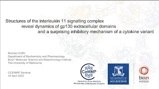 Structures of the interleukin 11 signalling complex