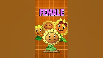 Thumbnail of Plants vs Zombies Fact | Sunflower
