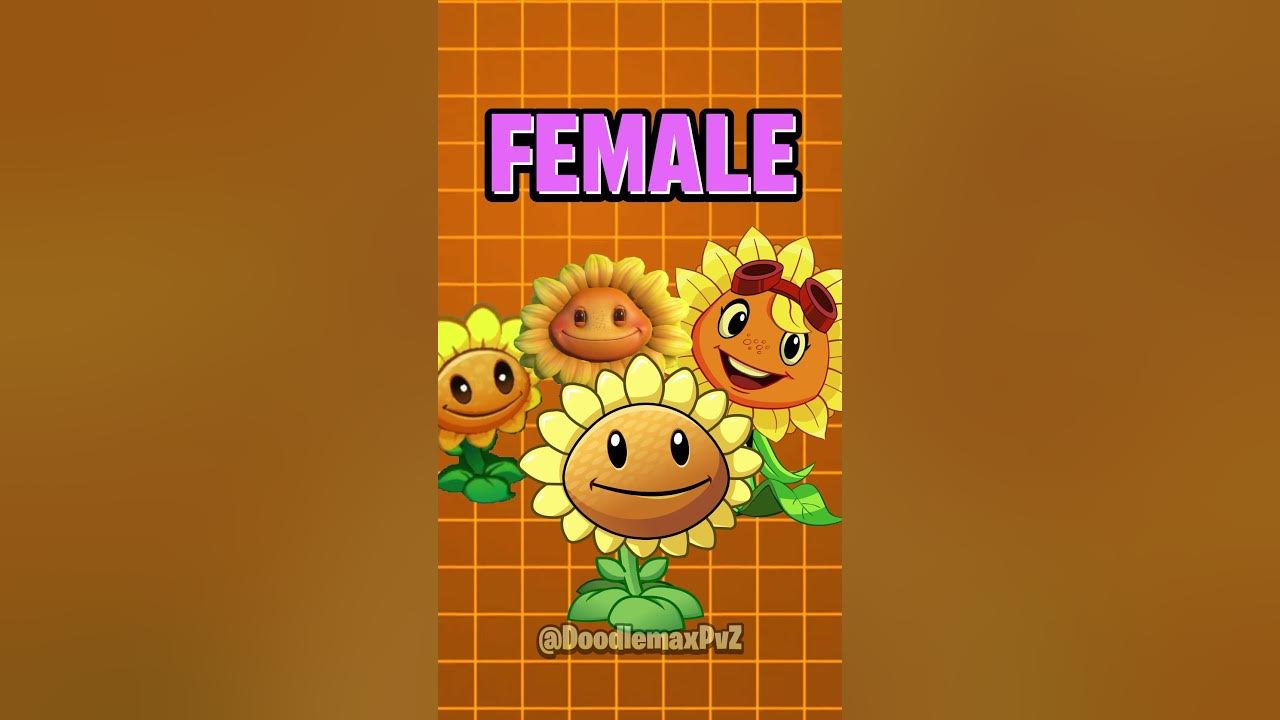 Plants vs Zombies Fact | Sunflower
