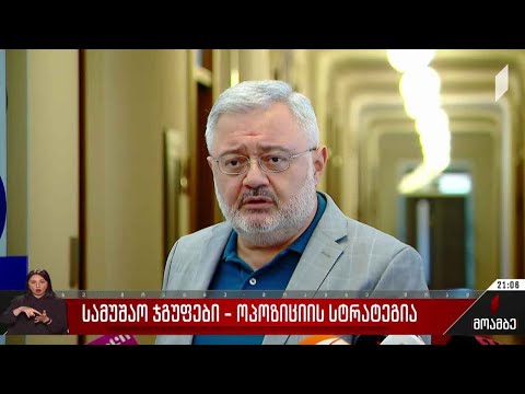 სამუშაო ჯგუფები - ოპოზიციის სტრატეგია