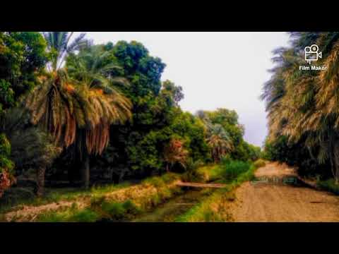 صديق أحمد راجع يا بلادي