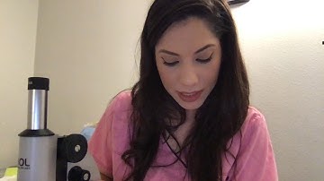 Week 3 Microscope for Microbiology Use and Function Part 1 and Part 2