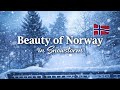 ❄️ COZY BLIZZARD: Relaxing Snowstorm View #swiss #snowfall #serene #transition #travel #asmr #music