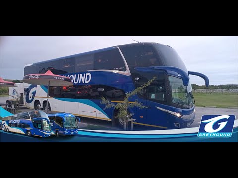 VLOG: BUS TRIP