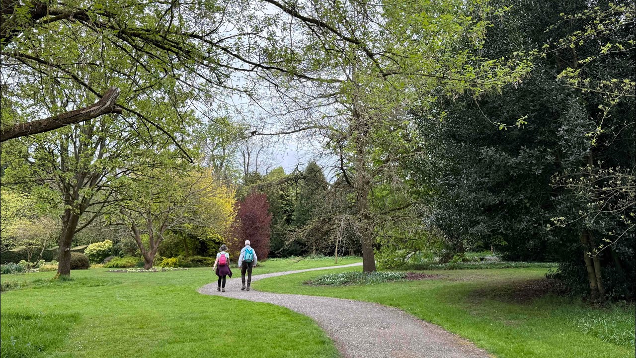 The Haris Garden 🇬🇧🌿 🌼 🌺 | A Peaceful Garden Escape in UK.