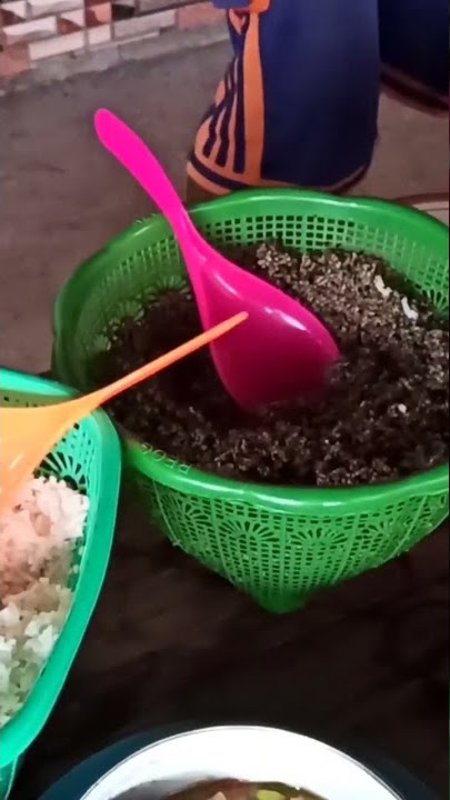Nasi tiwul wonogiri