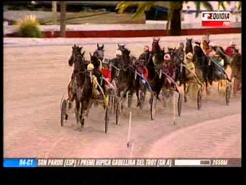 Vidéo de la course PMU PREMI HIPICA GABELLINA DEL TROT (GR A)