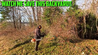 Lawn MOWING wasn't working, so we MULCHED The OVERGROWN Blackberries! #satisfying by Golovin Property Services 712 views 2 months ago 16 minutes