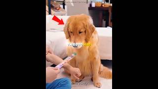 The Moment He Finally Understood