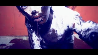 NEVERLAND『SECRET WORLD』MUSIC CLIP - YouTube