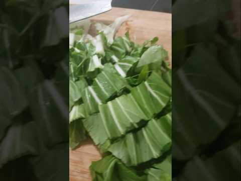 Stir frying bok choy and baking my first bread