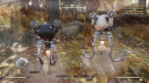 Fallout 76 Npc Conversation