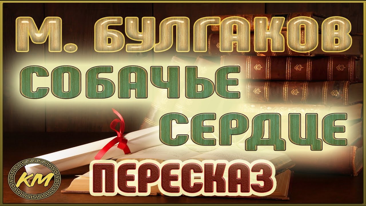 Сочинение: Что такое разруха? (По памфлету М. А. Булгакова Собачье сердце)