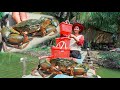 Island mud crab farm | Where to buy mud crab on the island | Mud crab fried rice cooking