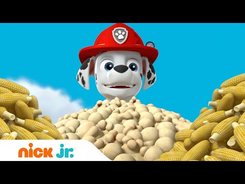 Щенячий патруль | Спасти попкорн! | Nick Jr. Россия