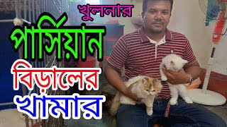 পিওর পার্সিয়ান বিড়ালের খামার ।।  @krishikhamar13