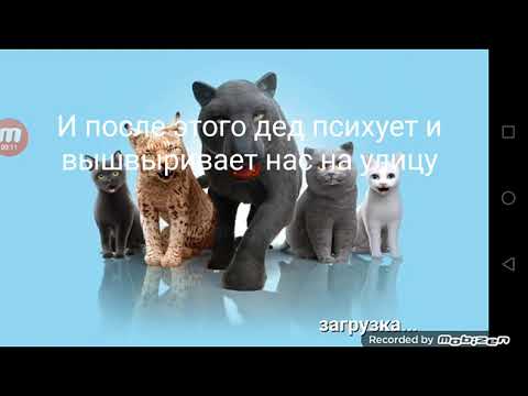 Видео: ЖУТКАЯ ПАСХАЛКА РАЗРАБОТЧИКА В ИГРЕ Cat simulator 2015"|ПАСЗАЛКА