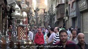 WHO: Hepatitis in Egypt : Challenges and Response