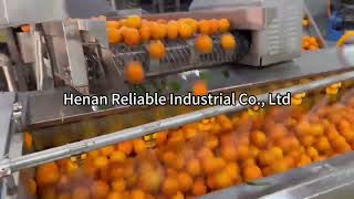 Download Lagu Orange washing machine, orange washing and air drying line #machine #processing #videos MP3