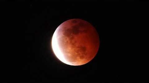 4K Super Full Blood Wolf Moon Eclipse 1-20-19 Nikon P1000 Footage